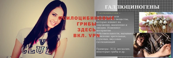 spice Беломорск