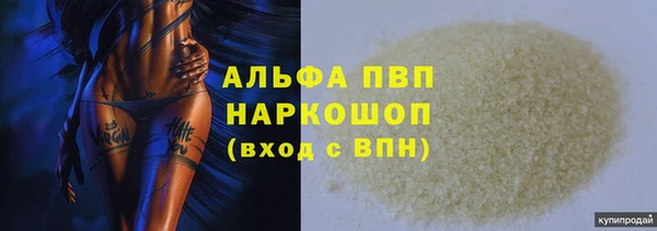 spice Беломорск