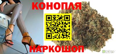 гидра Волгодонск