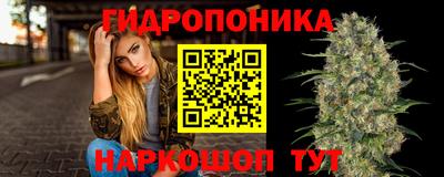 гидра Волгодонск