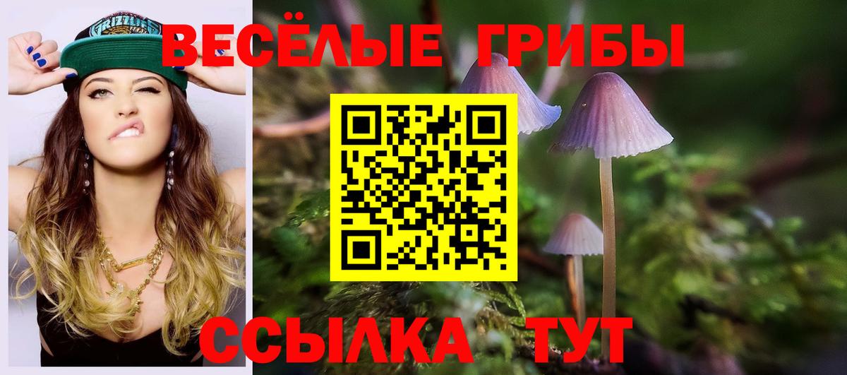 Галлюциногенные грибы мицелий Верхняя Пышма