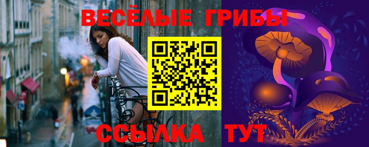 Галлюциногенные грибы мицелий  купить  сайты  Верхняя Пышма 