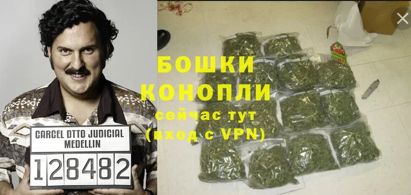 магазин продажи   Верхняя Пышма  Марихуана Bruce Banner 